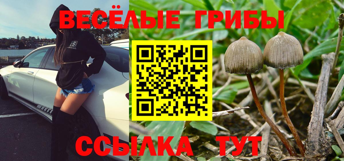 Галлюциногенные грибы GOLDEN TEACHER Александров